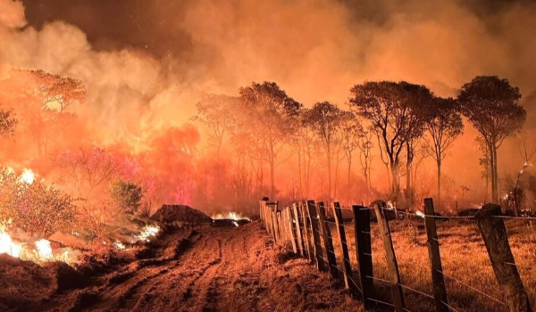 Incêndios já destruíram mais de meio milhão de hectares do Pantanal de MS em 2023