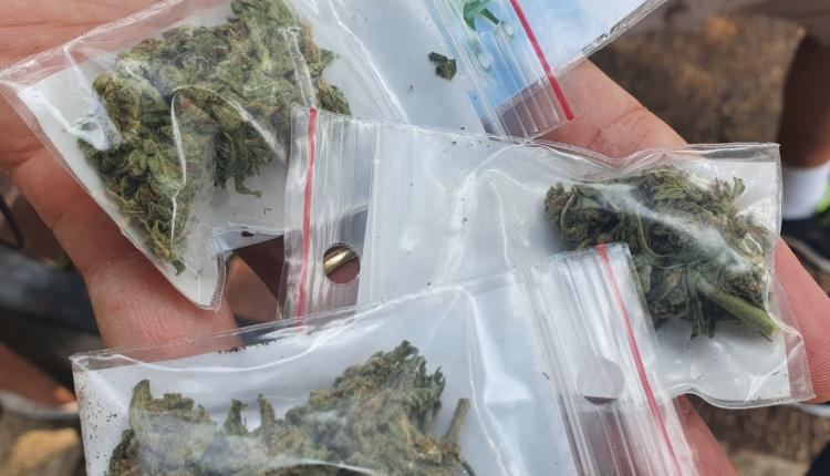 População de Tel Aviv é agraciada com ‘chuva de maconha’ gratuita