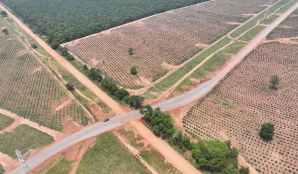 Governo de MS e Suzano firmam parceria para recuperar 378 km de rodovias em MS