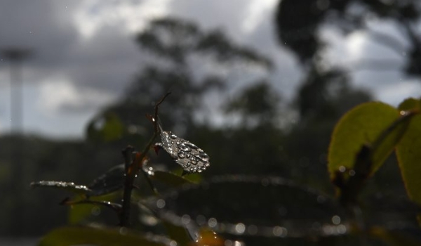 Quarta-feira tem probabilidade de chuvas e tempo instável continua em MS