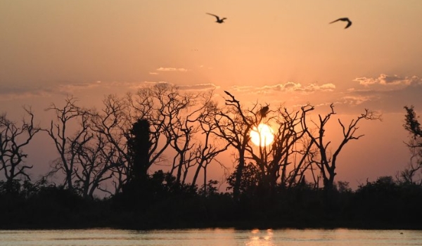 Nesta sexta-feira, sol retorna ao MS mas probabilidade de chuvas não deixa o estado