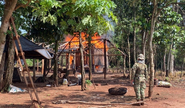 Com apoio brasileiro, Paraguai faz nova investida contra roças de maconha