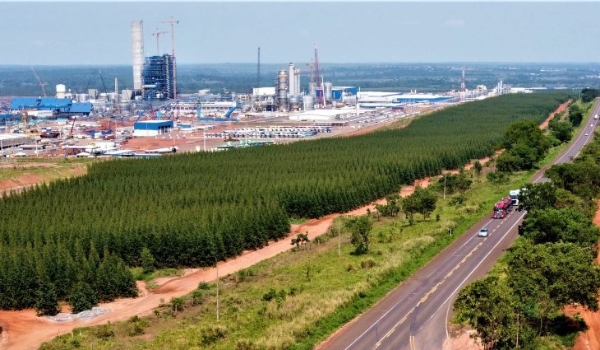 Ranking de liberdade econômica coloca MS entre os três estados com melhor ambiente para negócios