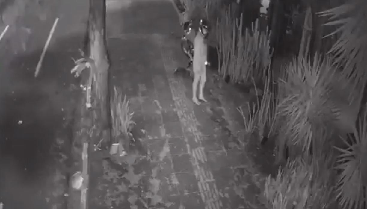 De moto, mulher furta vaso de R$ 600 do jardim da Valley Pub