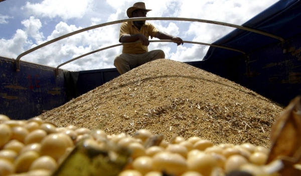 Produção agropecuária deve ter queda em 2024, diz CNA