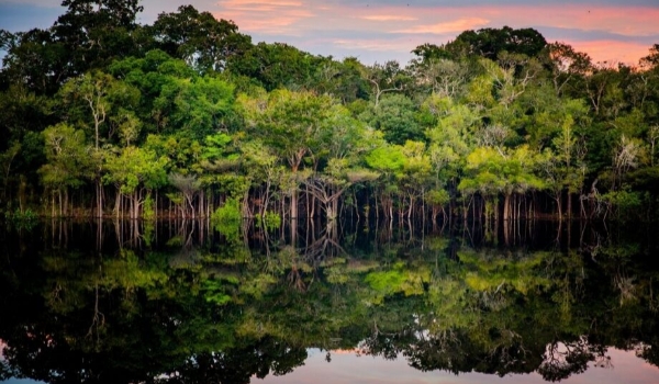 Projeto de lei nos EUA sobre Amazônia trata de criminalidade, investimento e China