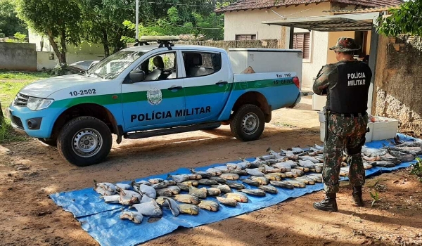 Operação apreende 716 kg de pescados irregulares e aplica R$ 66,5 mil em multas