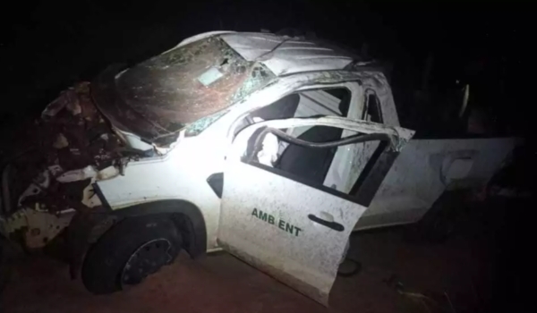 Picape atropela anta, motorista morre e passageiro fica ferido