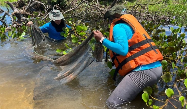 A bordo de navio da Marinha, pesquisadores do Bioparque desbravam o Pantanal em expedição