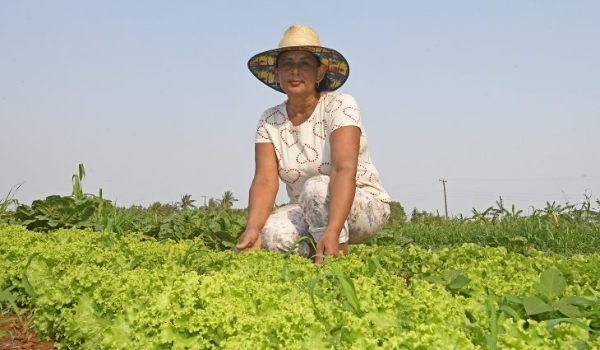 Mãos do campo e das aldeias levam comida sustentável e de qualidade para mesa dos alunos