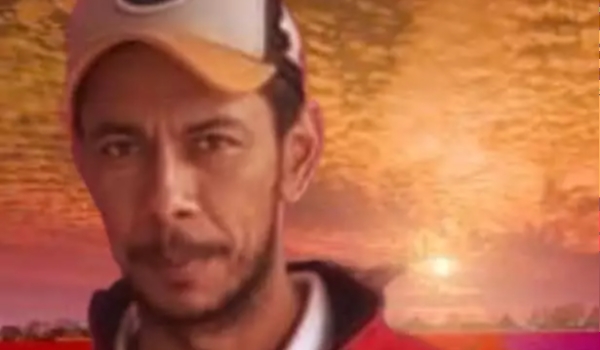 Motorista de carreta carregada com boi morre em acidente na rodovia