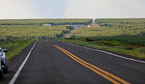 Sidrolândia: obra de acesso à Cooperalfa fomenta economia e traz benefícios a produtores e trabalhadores