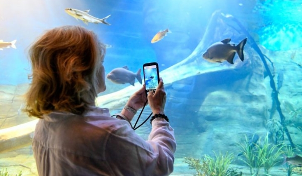 Bioparque Pantanal está fechado para manutenção e reabre dia 9 de janeiro