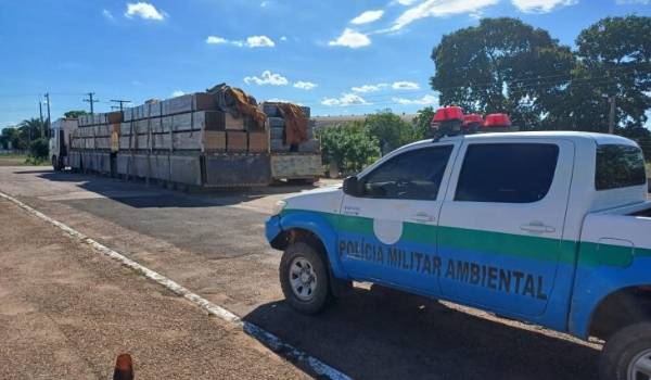 Operação Boas Festas da PMA capturou 89 animais e abordou mais de 420 pessoas em MS