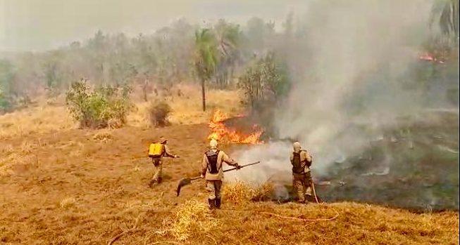Fazendeiros podem ter destruído 25 mil hectares do Pantanal