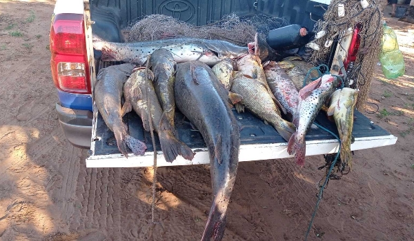 Operação Piracema tem 902 kg de pescado apreendidos e R$ 134 mil em multas