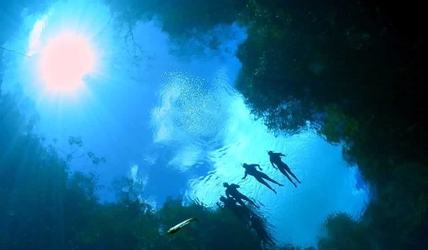 Flutuação nos rios cristalinos de Bonito-Serra da Bodoquena é uma experiência única