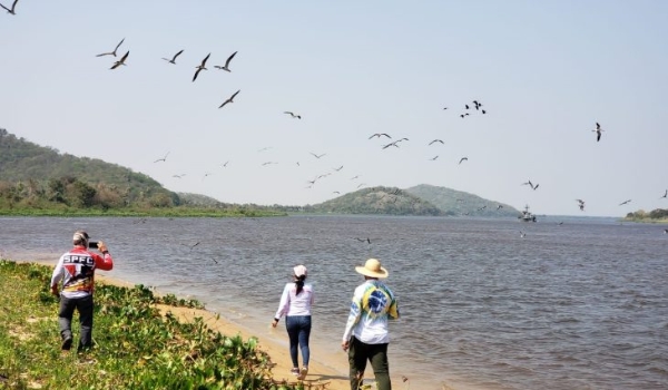 Redução de imposto e ambiente positivo incentivam novos empreendedores no coração da Rota Bioceânica