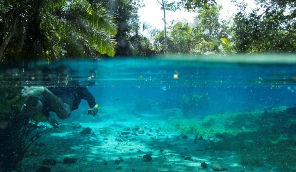 Com investimentos do Governo de MS, Bonito registra recorde de turistas com mais de 313 mil visitantes