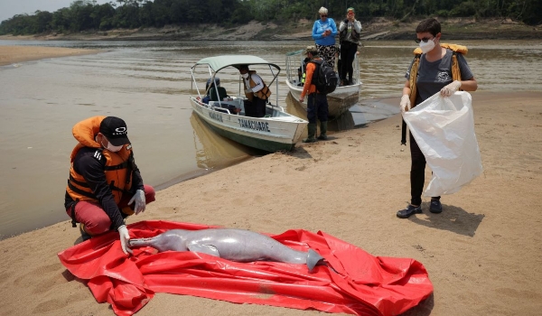 Mudança climática impulsiona seca recorde na Floresta Amazônica, diz estudo
