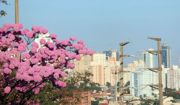 Sábado de sol tem aumento de temperaturas como destaque em Mato Grosso do Sul