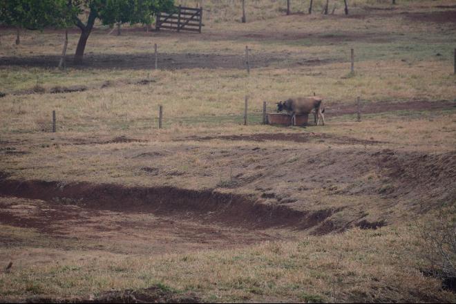 Estiagem que já dura cerca de um mês acaba neste sábado em Campo Grande