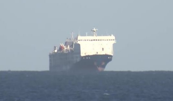 Navio com 16 mil animais é abandonado na costa da Austrália após ameaça de ataque Houthi