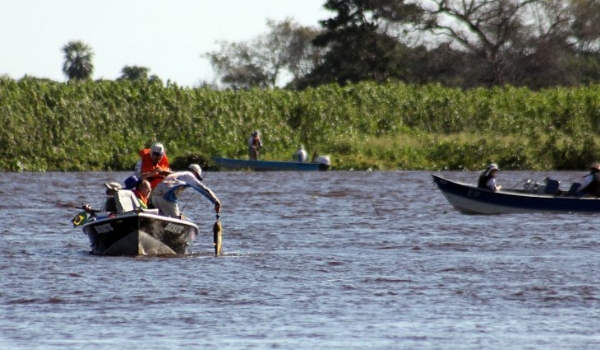 A partir desta quinta, modalidade ‘pesque e solte’ está liberada nos rios Paraguai e Paraná
