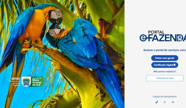 Para segurança digital, Governo de MS regulamenta novo portal e-Fazenda