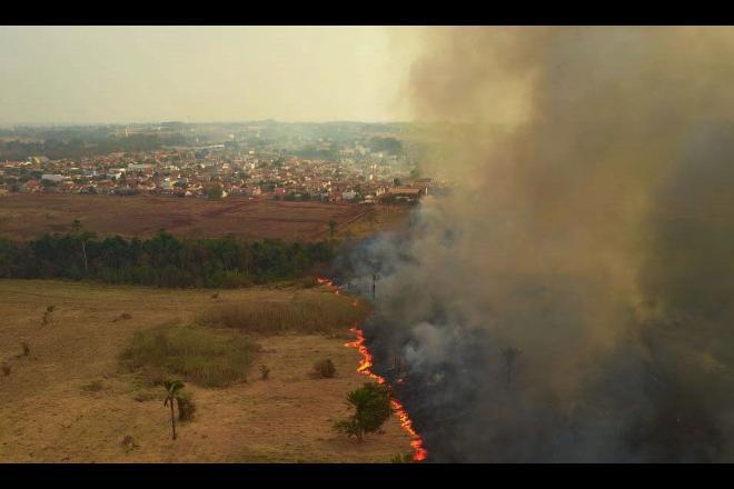 Senadores dizem que cenário no Pantanal é devastador
