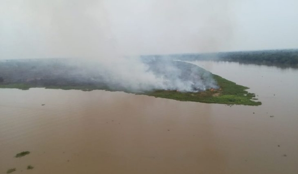 Com reforço de aeronaves e bombeiros, Governo amplia atuação para controlar incêndio no Pantanal em MS