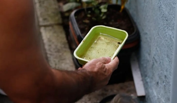 Dicas simples podem livrar sua casa dos focos da dengue e se prevenir contra doença