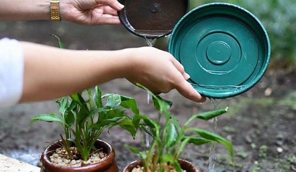 Prefeitura de Caracol convida população para participar de Mutirão de Limpeza contra a Dengue