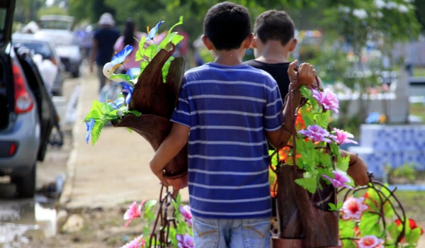 MS é o estado com mais registros de trabalho infantil nas piores atividades