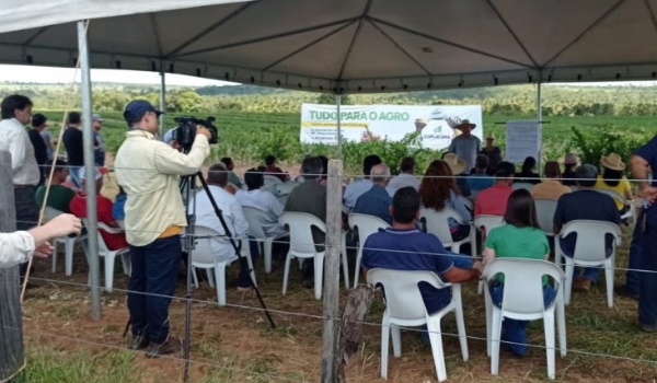 Governo incentiva o desenvolvimento da fruticultura para diversificar a base produtiva do Estado