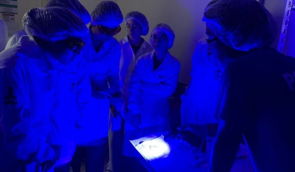 Parceria entre Polícia Científica de MS e UFMS impulsiona pesquisa em química forense