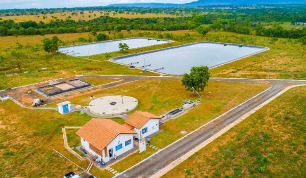 MS desafia limites ao ultrapassar expectativas rumo à universalização do saneamento