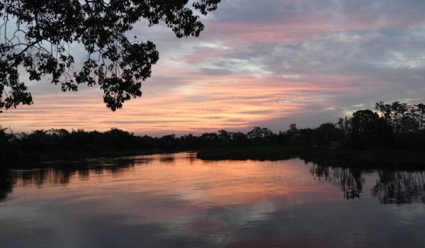 Governo de MS prepara atuação para temporada de incêndios florestais no Pantanal