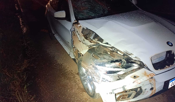 Casal de bicicleta é atingido por BMW e idosa de 60 anos morre