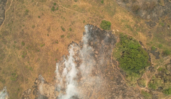 Incêndios florestais: governo realiza workshop do tema com palestras e minicurso