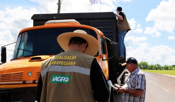 Com 29 vagas, Governo de MS autoriza concurso para área de fiscalização e defesa sanitária na Iagro