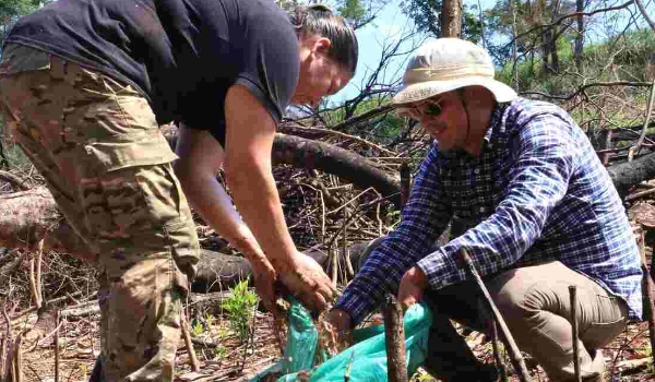 Paraguai inicia plano de restauração de florestas destruídas pelo tráfico de drogas na fronteira com o MS
