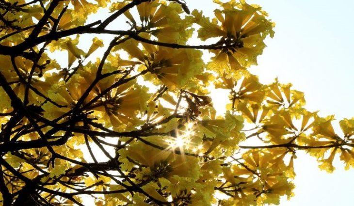 Onda de calor se despede nos próximos dias e traz expectativa de mudanças no tempo