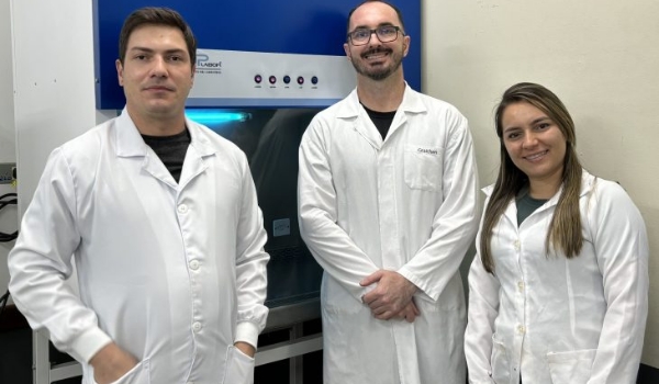 Com cogumelos, startup sul-mato-grossense mira mercado de proteínas alternativas