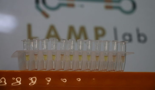 Startup recebe apoio da Fundect e inova com diagnóstico rápido de leishmaniose