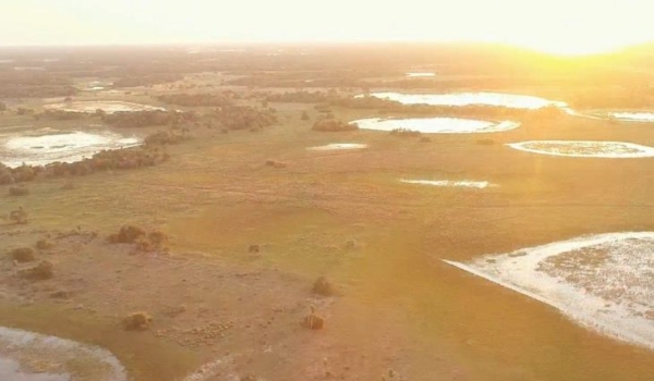 Imasul convoca proprietários de imóveis no Pantanal com processos em andamento para adequação à nova lei