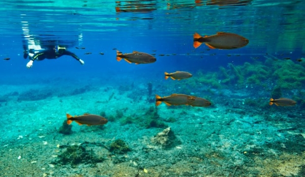 Fundtur capacita profissionais da região Nordeste do Brasil sobre destinos turísticos de MS