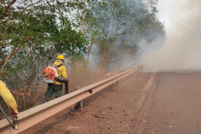 Queimadas: equipes enfrentam calor e áreas de difícil acesso