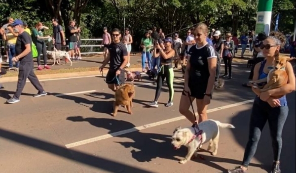Abril Laranja: Ações de conscientização contra maus-tratos a animais chegam a Bodoquena e Corumbá