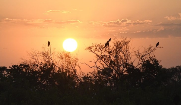 Em sábado de sol, ventos intensificam ar quente e seco em Mato Grosso do Sul 